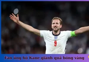 Nhiều người hâm mộ đang ủng hộ Harry Kane giành cúp quả bóng vàng